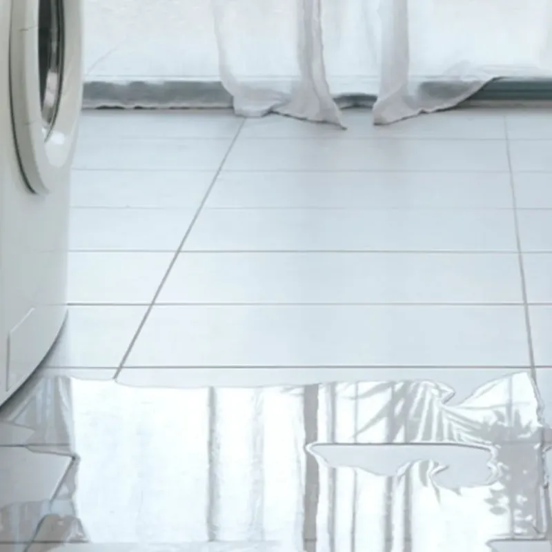 Appliance Leak Cleanup in George, IA