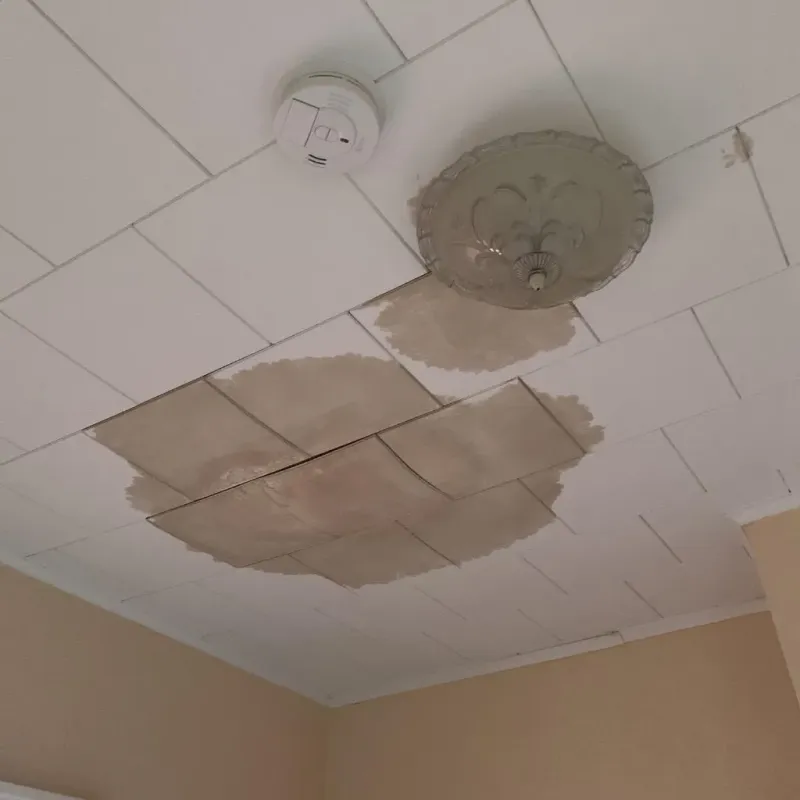Ceiling Water Damage Repair in George, IA