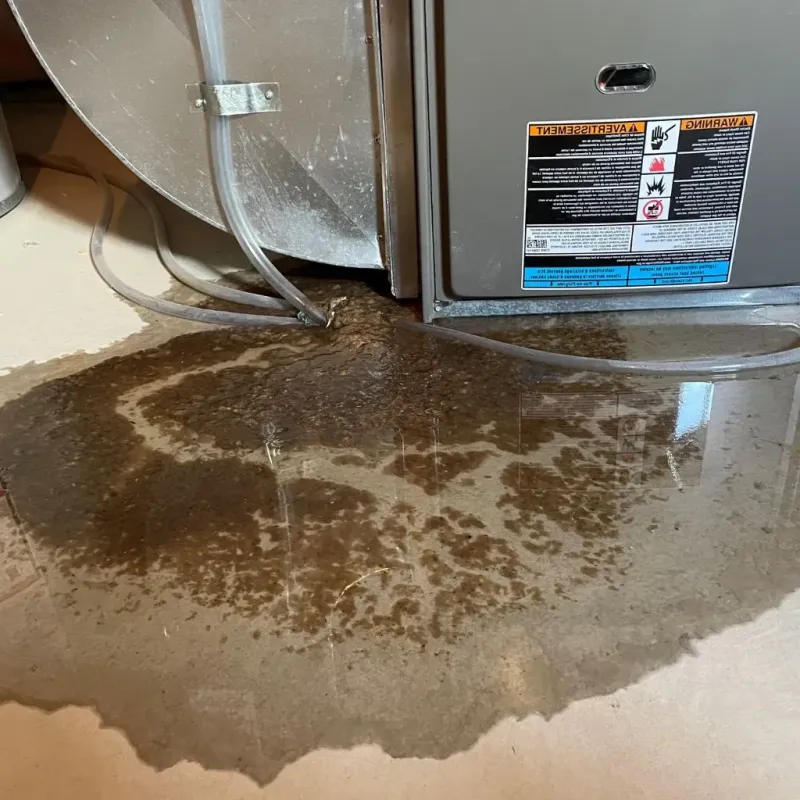 Pipe Burst and Leak Restoration in George, IA