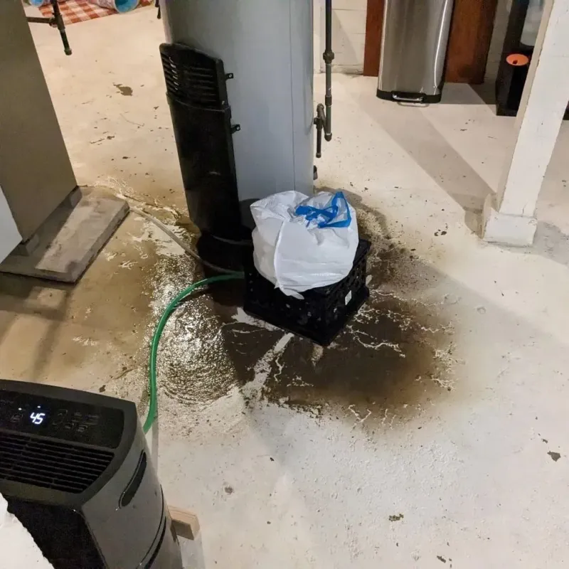 Sewage Backup Cleanup Service in George, IA